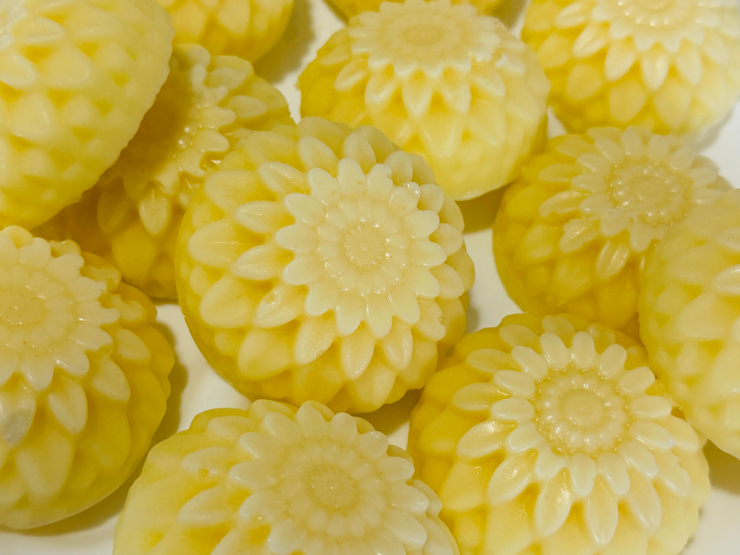 Golden Glow Lotion Bar