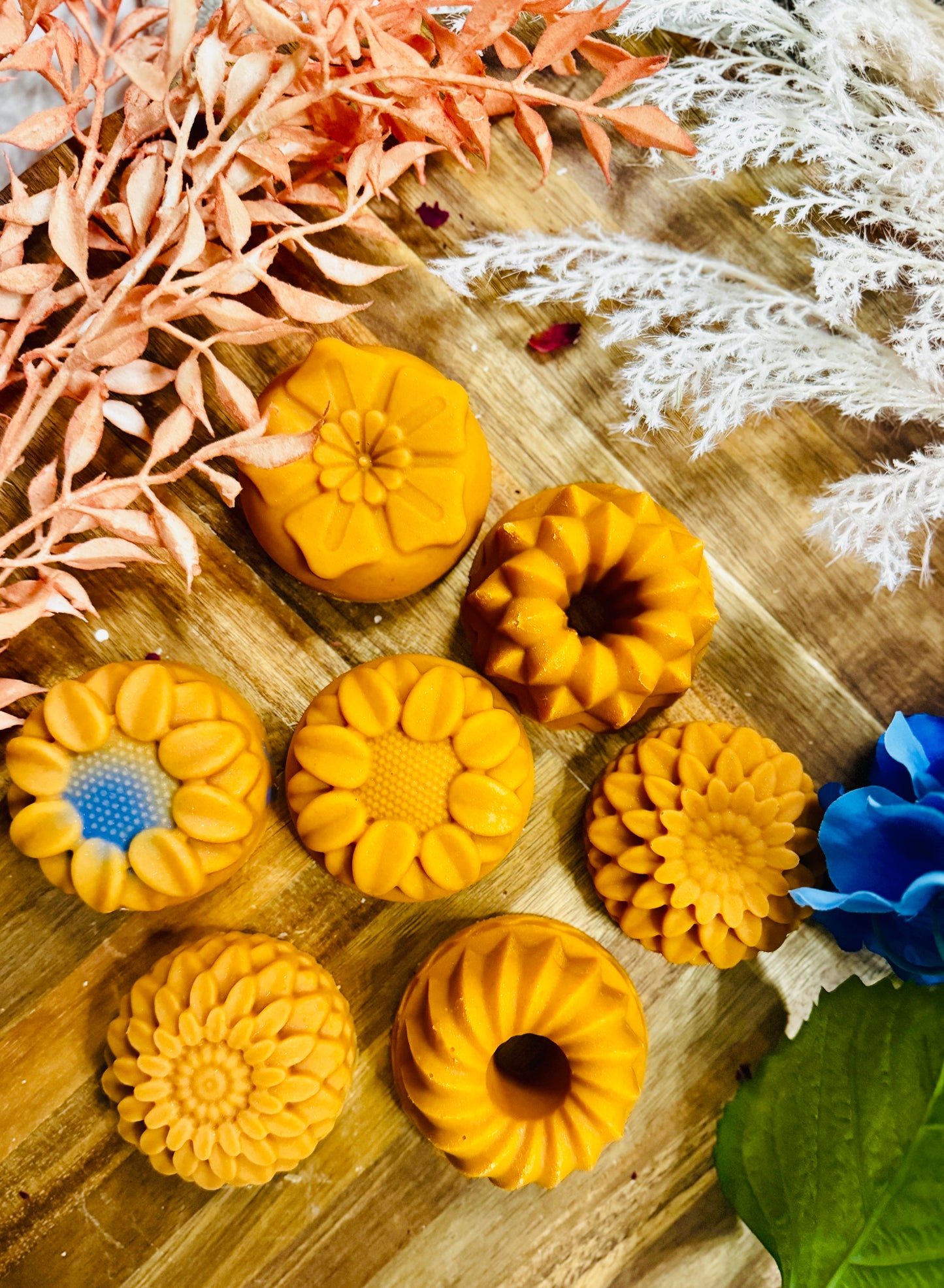 Pastel Chrysanthemums