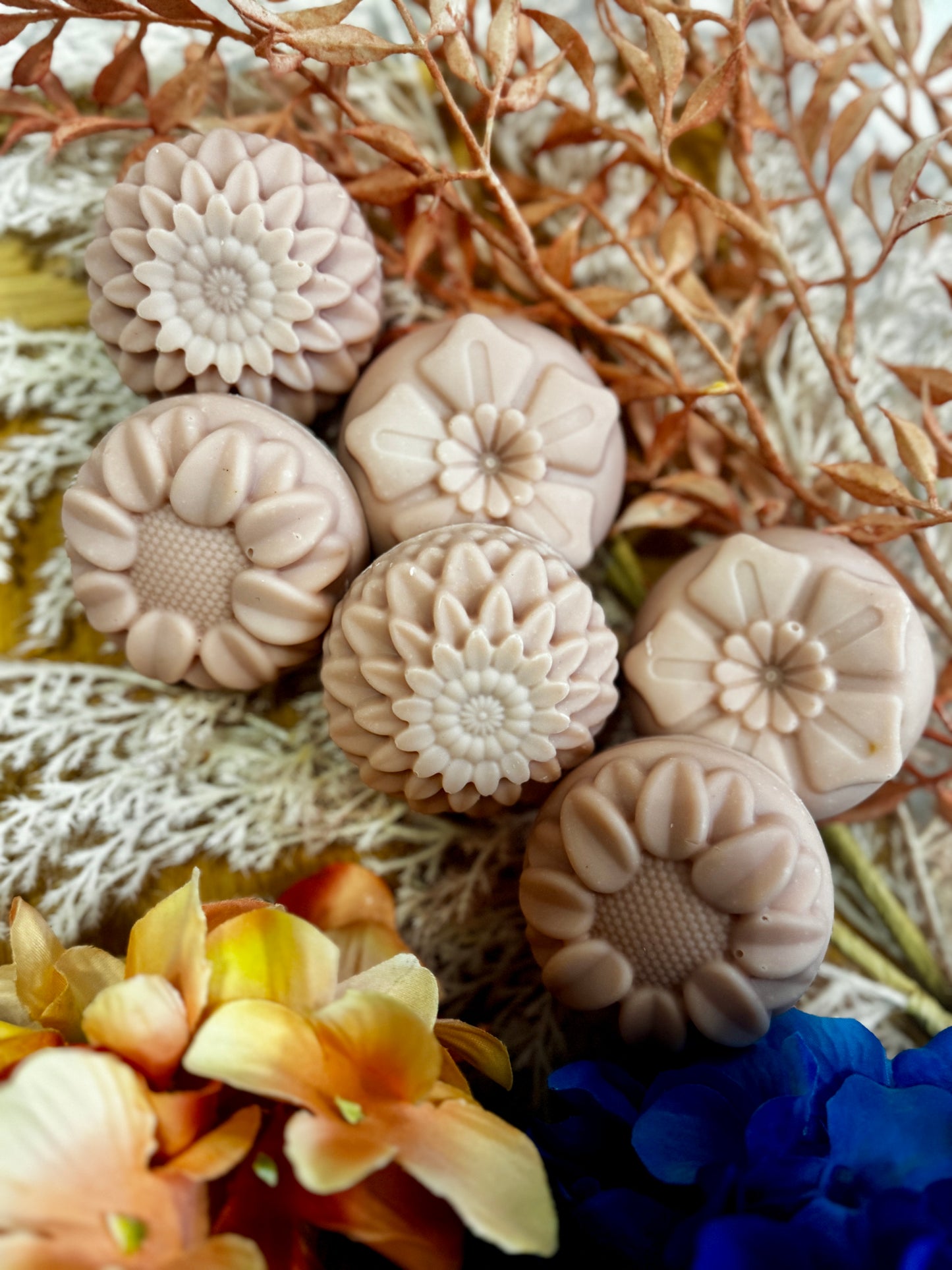 Pastel Chrysanthemums